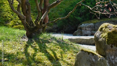 Japanese garden with shadow 