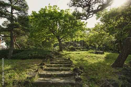 Japanese garden with stairs and trees in Tokyo