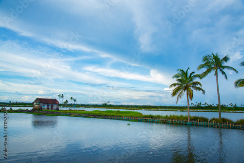 Beautiful Riverscape photography, backwaters photography during daytime under blue sky, Kerala backwaters Kadamakkudy Kerala photo