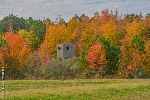 Deer hunting stand on the edge of the trees with the fall colorful leaves in Maryland