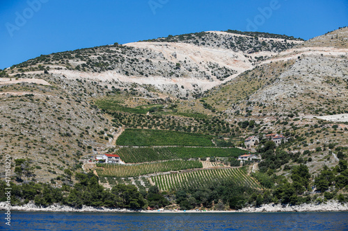 Green farm with the trees on the hill in Croatia