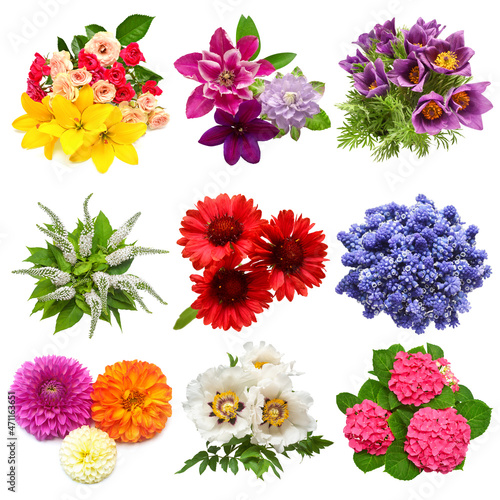 Collection of bouquets flowers muscari, lily, hydrangea, rose, peony, gaillardia, clematis, dahlia, lysimachia clethroides and pulsatilla patens isolated on white background