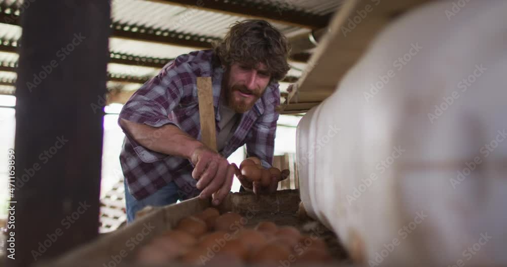 Happy caucasian man, working on farm, collecting chicken eggs Happy caucasian man, working on farm, collecting chicken eggs