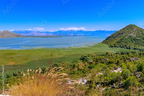 Skadar Lake (the largest lake in the Balkans). Montenegro. Surroundings, mountains, coastline, swamps.