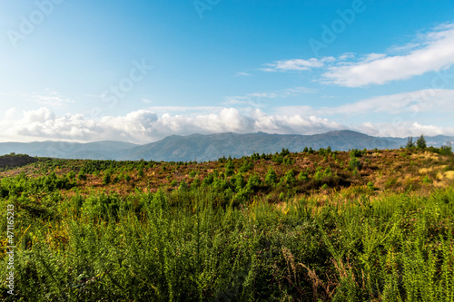 mantle of green vegetation overlooking the mountain