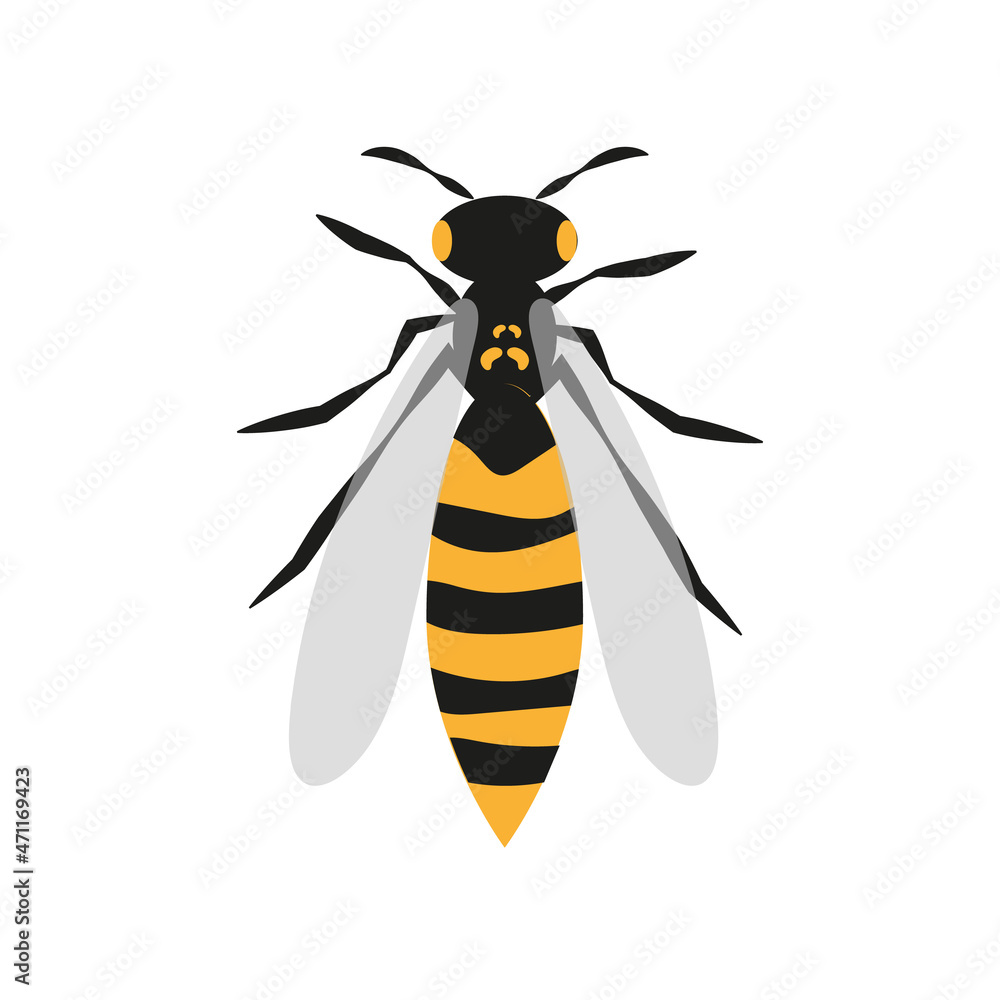 Wasp icon on white background