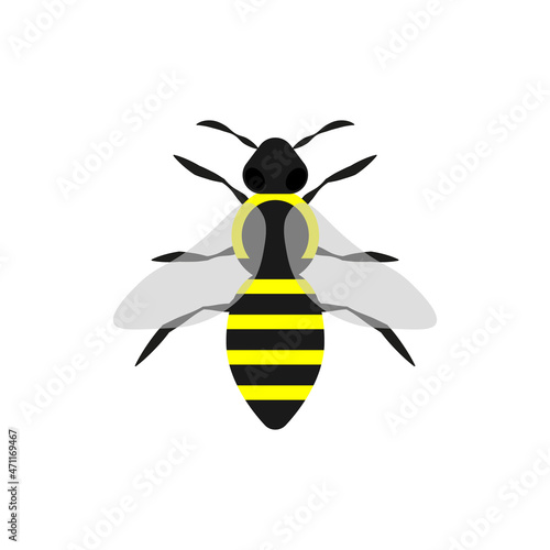 Bee icon on white background