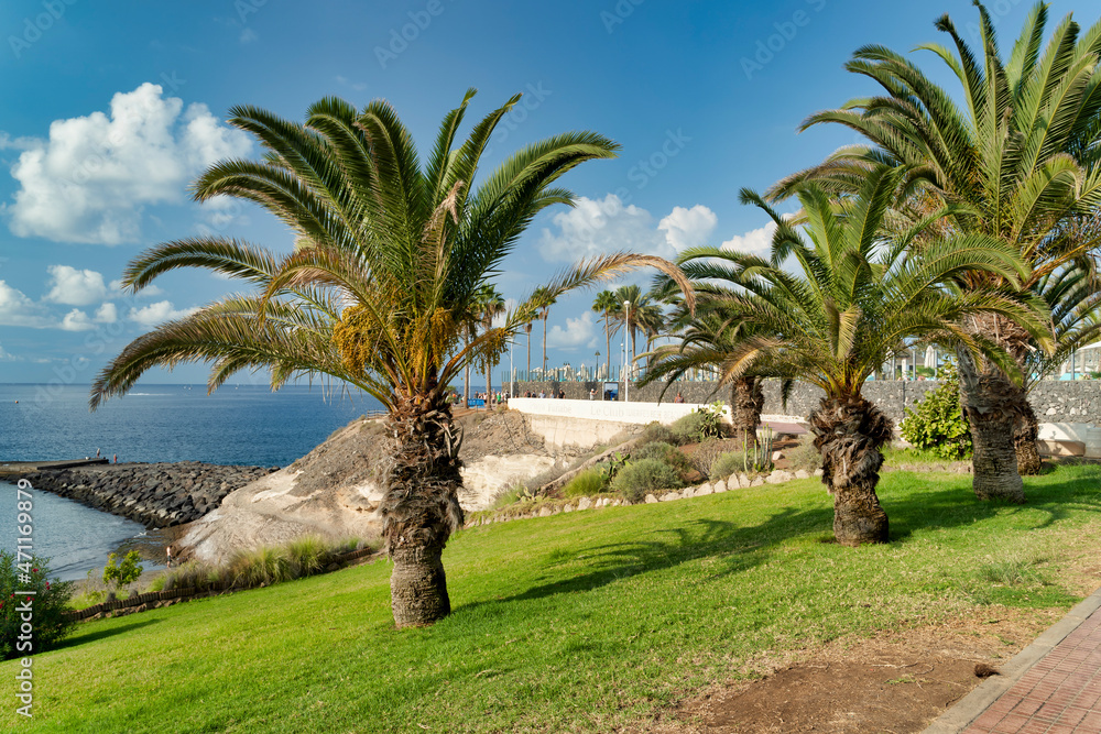 Seascape with an embankment park area. La caleta beach, Canary Island Tenerife, Spain