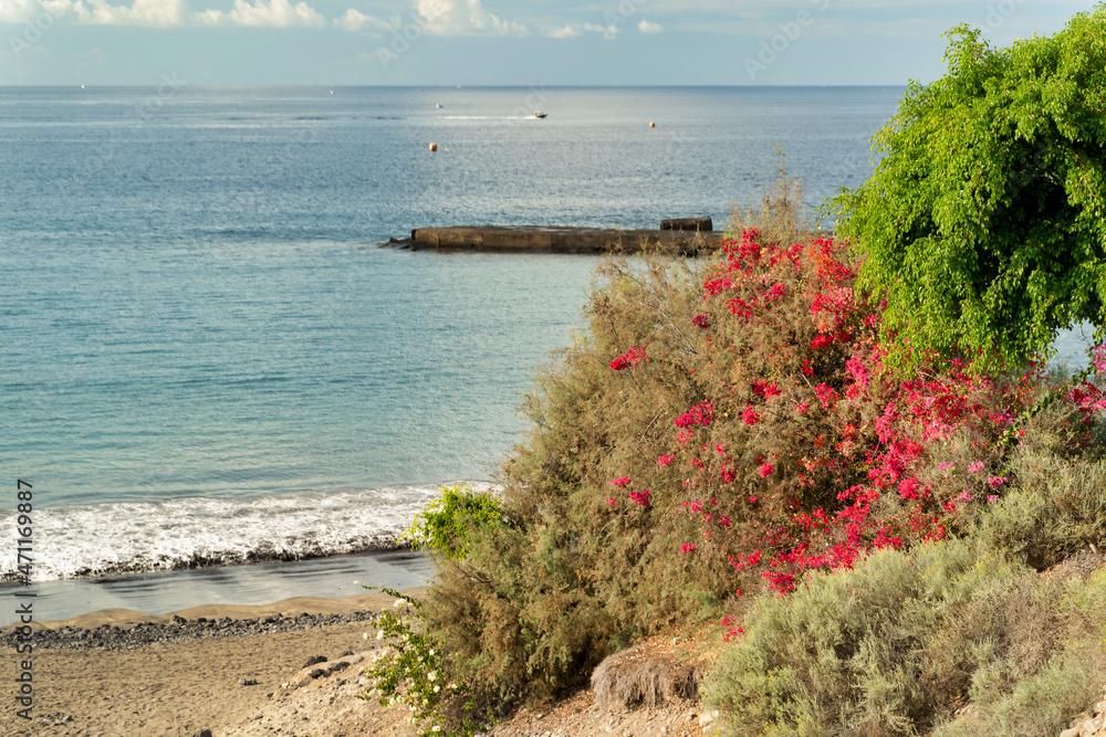Landscape of the sea and coastal volcanic rocks. La caleta beach, Canary Island Tenerife, Spain