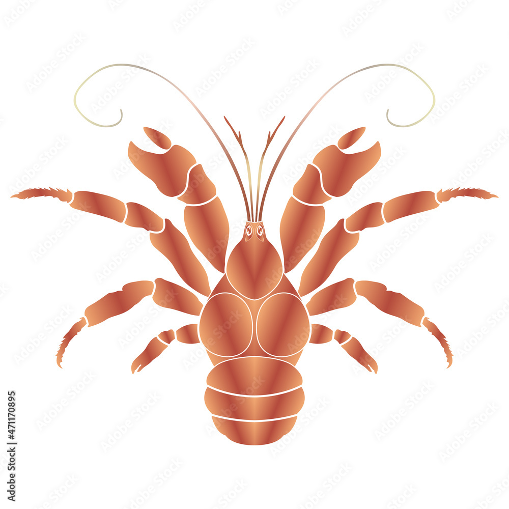 Obraz premium crayfish on a white background