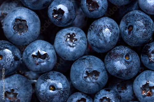 Wall Mural Freshly picked blueberries in water