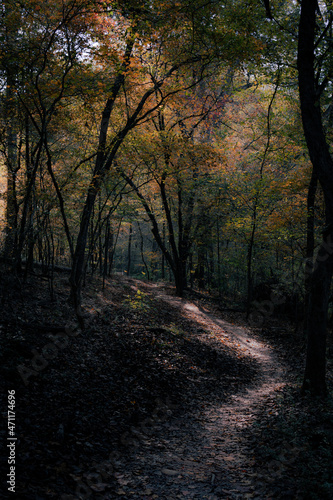 Follow the Path © Jordan