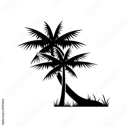 palm tree silhouette