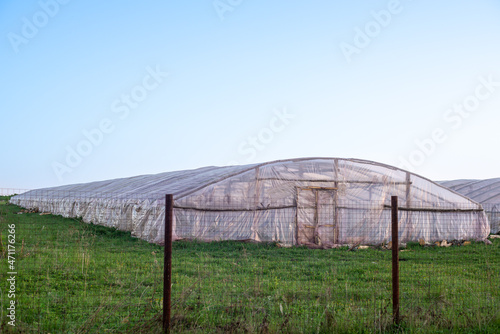 Polyethylene greenhouses for growing tomatoes, cucumbers and strawberries.