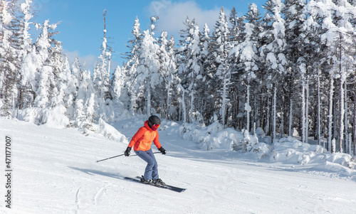 Canvastavla Alpine ski