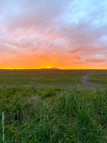 sunrise over the field