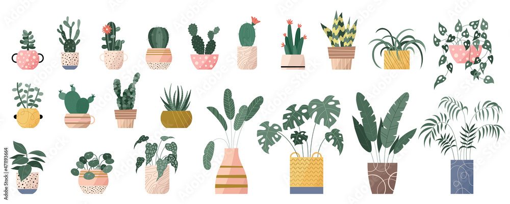 Obraz premium Trendy collection of home cute plants and succulents in flowerpots pack icons. Set of houseplants and cacti in pots modern illustrations. Cozy vector decorative elements in flat swiss style.