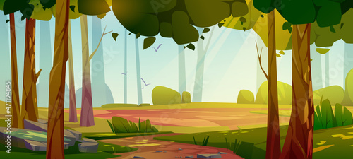 Cartoon forest background, nature landscape with deciduous trees, moss on rocks, grass, bushes and sunlight spots on ground. Scenery summer or spring wood parallax natural scene, Vector illustration