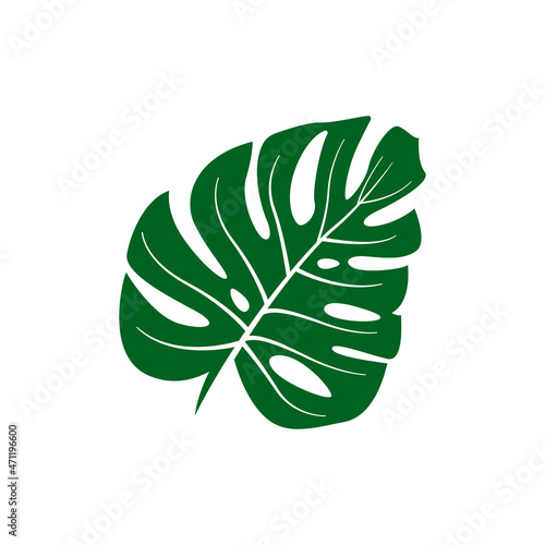 monstera leaf logo icon design template vector