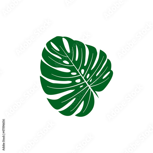 monstera leaf logo icon design template vector