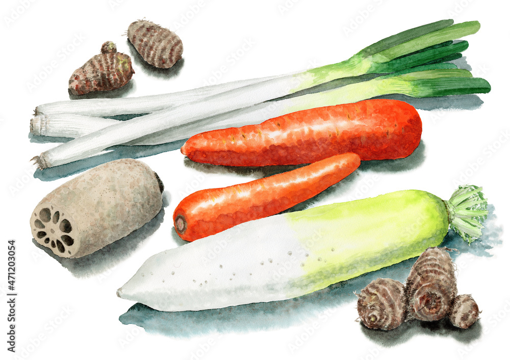 アナログ水彩根菜５種類stock Illustration Adobe Stock
