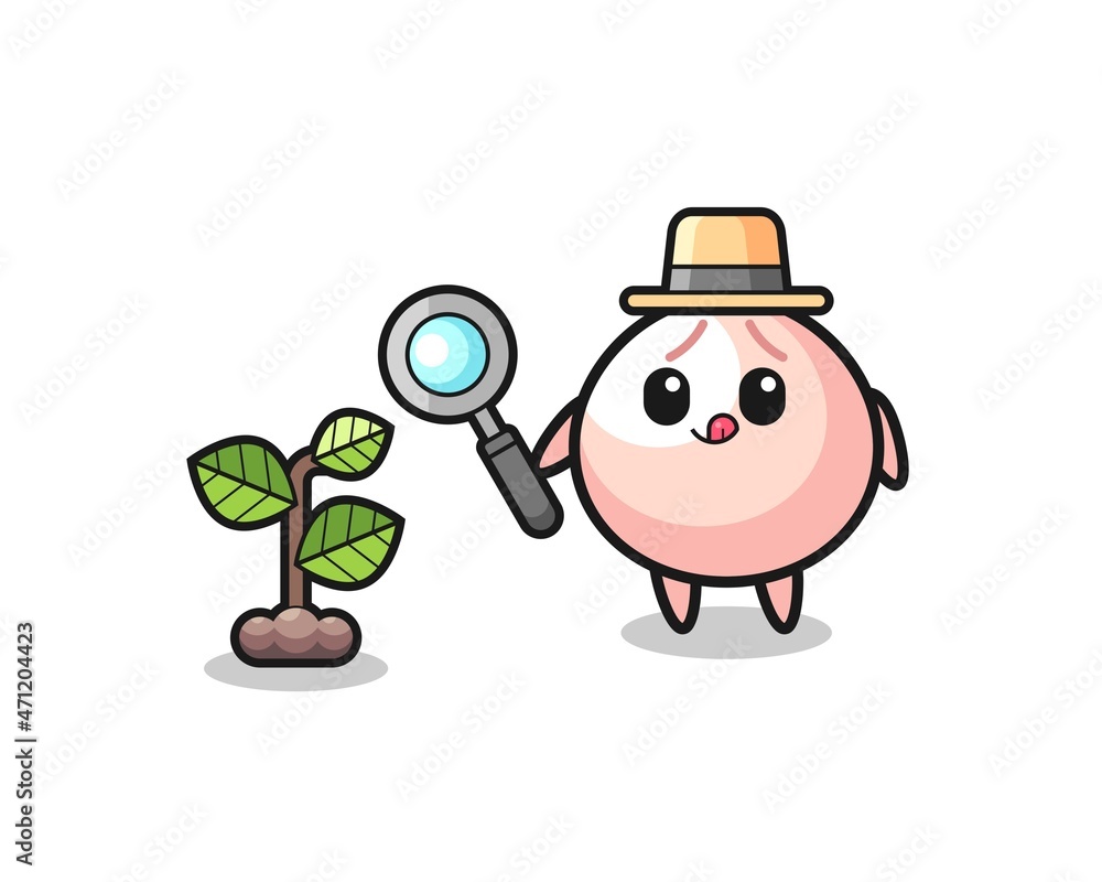 Fototapeta premium cute meatbun herbalist researching a plants