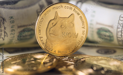 Closeup photo of gold coin with dogecoin symbol and dollar bills photo