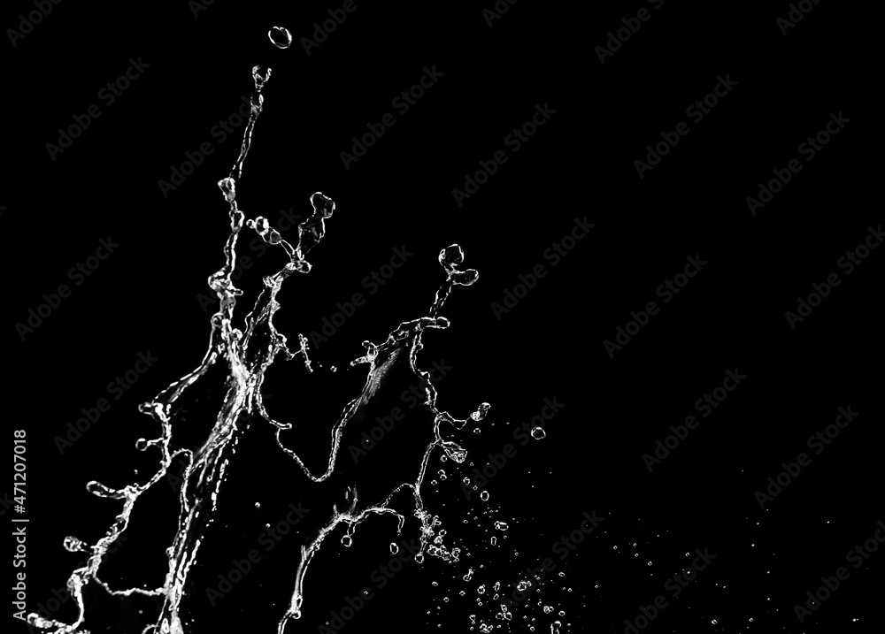 Splash of water on black background