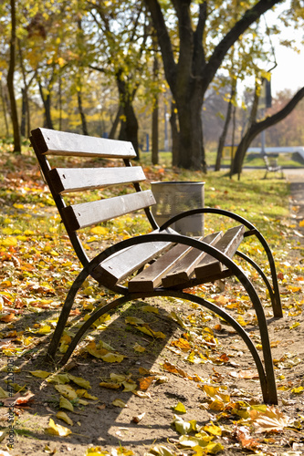 Empty bench in autumn park on sunny day