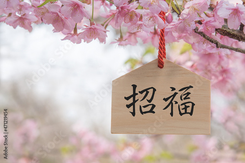 招福　桜の花 © tamayura39