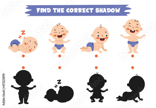 Find The Correct Shadow Activity