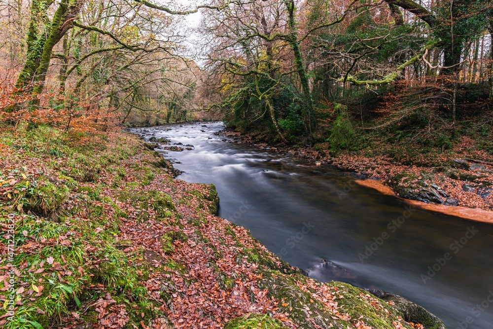 Autumn Colours over River Dart from a drone, Dartmoor Park, Devon, England, Europe Autumn Colours over River Dart from a drone, Dartmoor Park, Devon, England, Europe