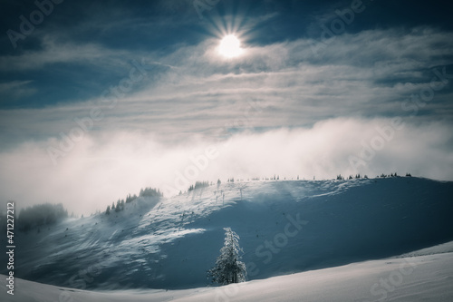 Fototapeta Naklejka Na Ścianę i Meble -  Spectacular scene of the sun hitting a valley in the mountains during winter with a fir tree in the foreground
