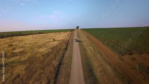 Drone shot from the back of a car cruising through beautiful vineyards in Vrsac's countryside