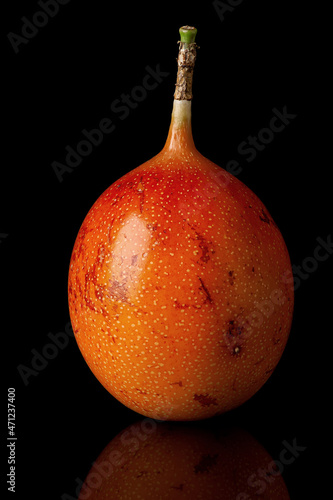 Whole tamarillo vertically with reflection isolated on black photo