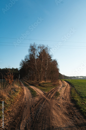 Country road in autumn