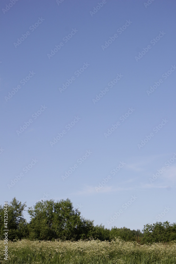 Obraz premium Landscape with a river and nature. Homeland. Beautiful sky