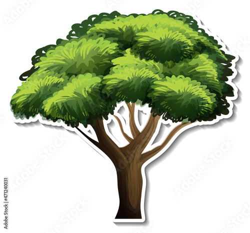Tree sticker on white background