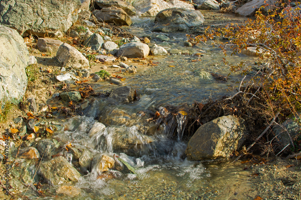autumn background. a flowing stream.spring water. clean environment.