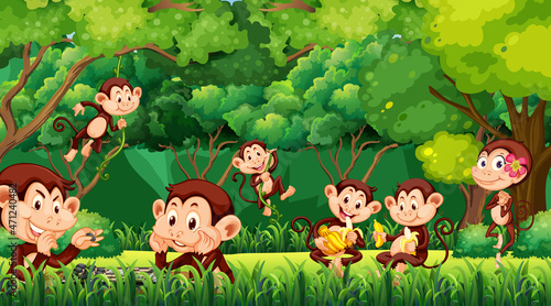 Forest scene with funny monkeys cartoon