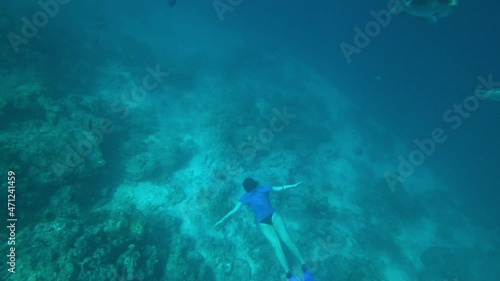 Wallpaper Mural Black and yellow tropical fishes. Life in the coral reef. Animals of the underwater world. Scuba diver is swimming with school of fish Torontodigital.ca
