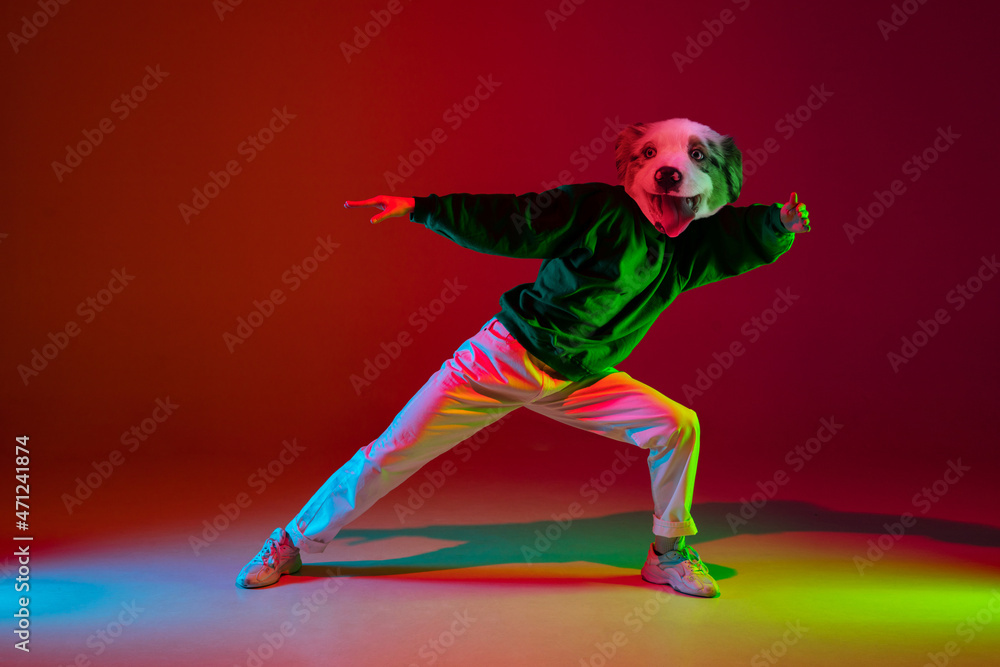 Contemporary collage. One man, hip hop dancer headed of dog's head dancing isolated over dark red background in neon light. Inspiration, idea, street dance style.