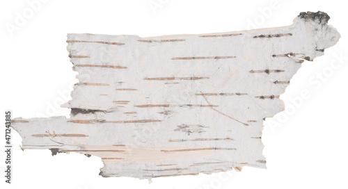 Birch bark