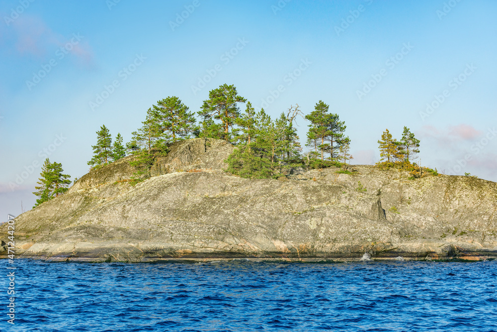 Pine trees on the cliffs of Lake Ladoga at evening time. Republic of Karelia.