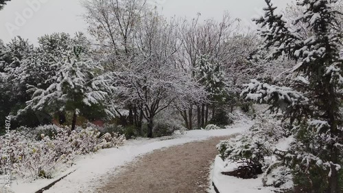  Andando por un camino de tierra del parque Canterac de Valladolid durante un temporal de nieve a principios del invierno photo