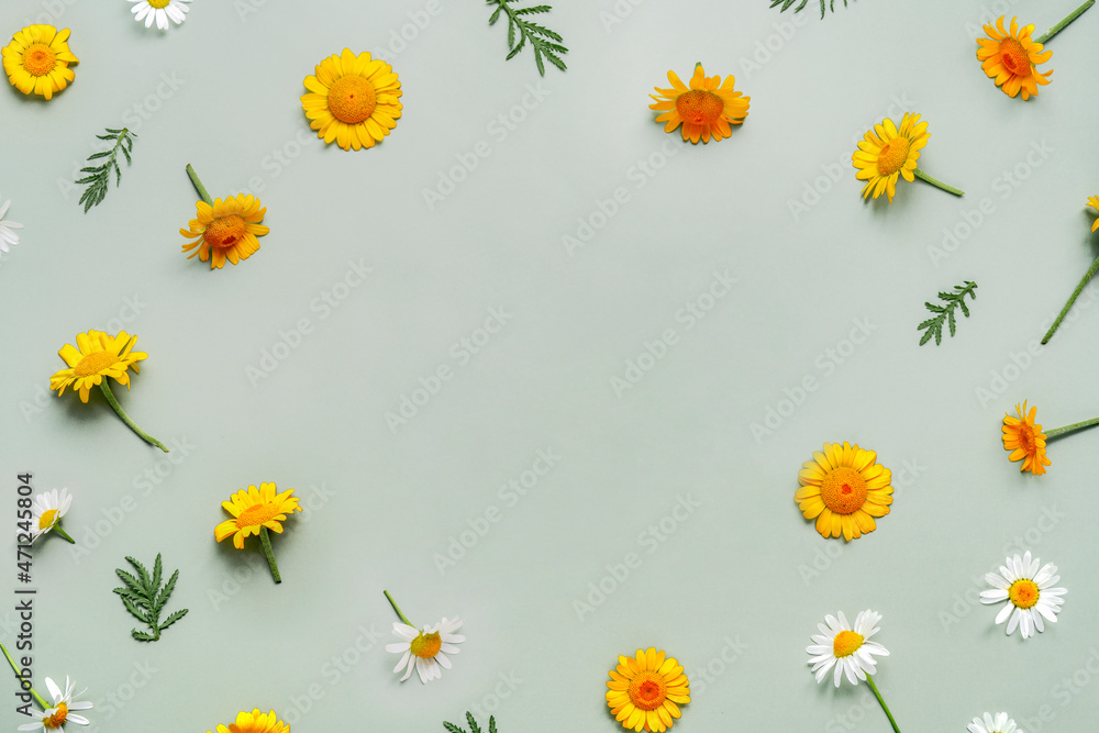 Obraz premium Frame of wildflowers chamomile flowers on green background. Copy space for your text