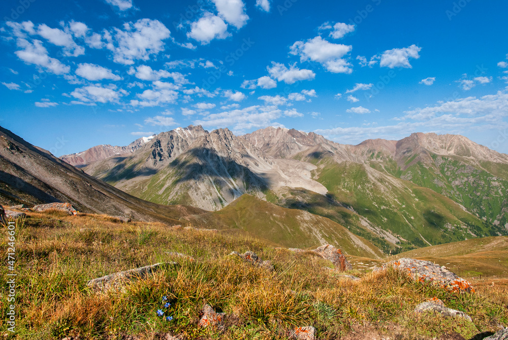 Fototapeta premium landscape in the mountains