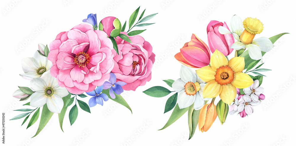 Spring bouquet. Peonies, daffodils, violets, tulips on a white background. Watercolor illustration.