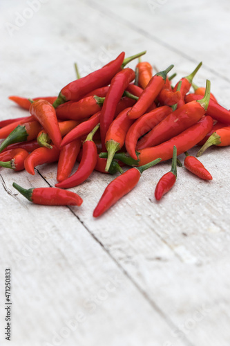 scharfe rote Peperoni