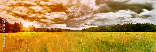 Рanoramic view of the bison glade in the Belovezhskaya Pushcha, Belarus. sunset and a cloudy sky covered with multilayer clouds, a green field with wild herbs and a forest on the horizon. photo